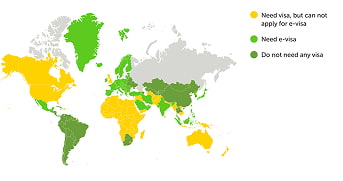 e-visa